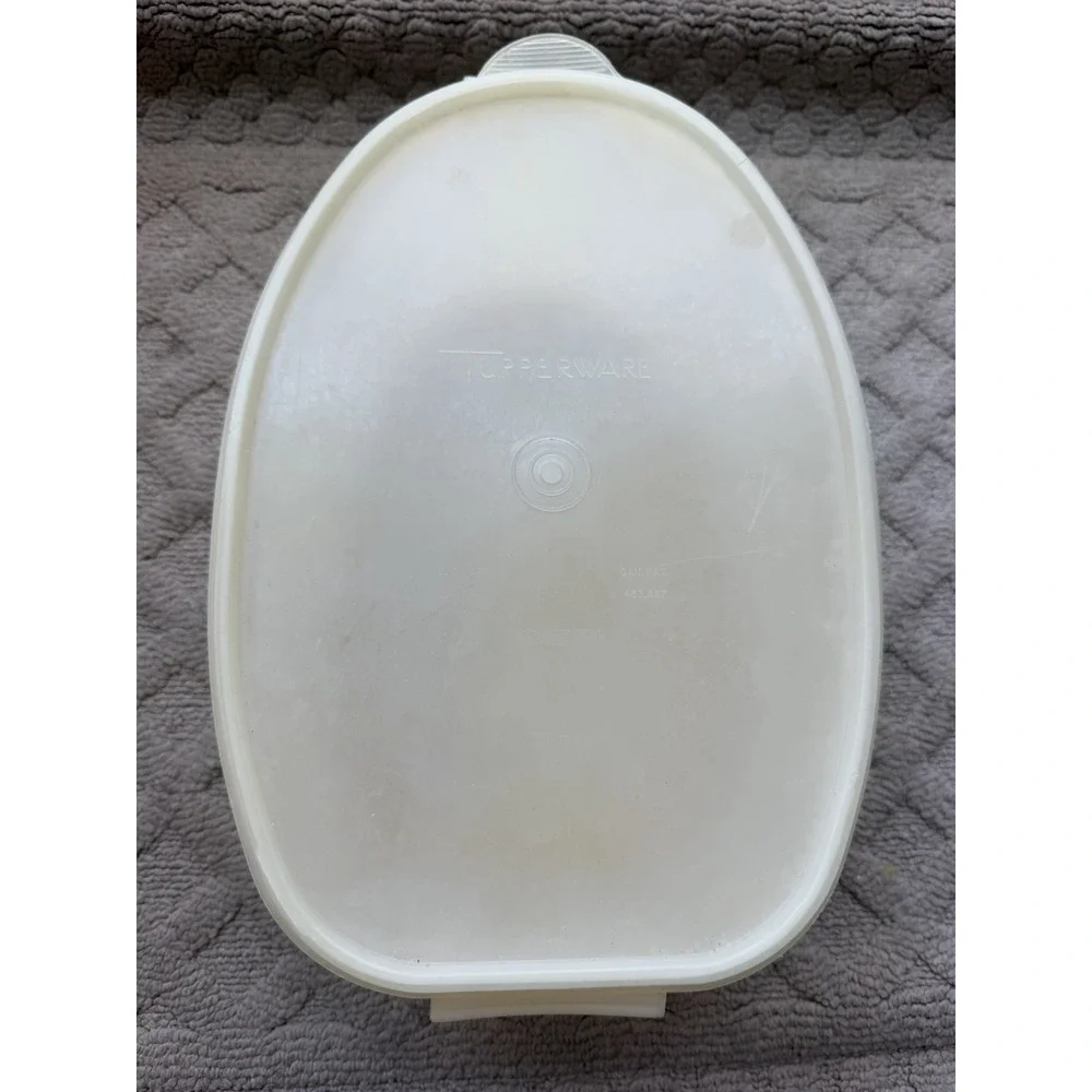 Tupperware Vintage Ham Roast Turkey Flavor Saver Keeper Container #487-1